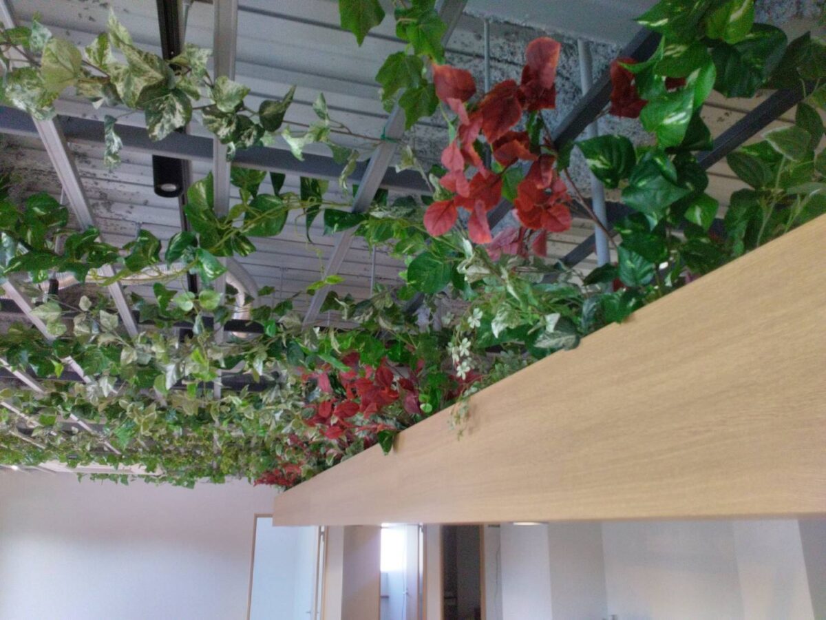 群馬県 テナント事務所様 改修内装工事